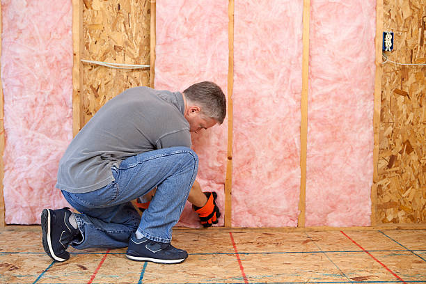 Best Specialized Insulation Services in Bellevue, WA